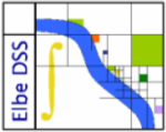 DSS Logo